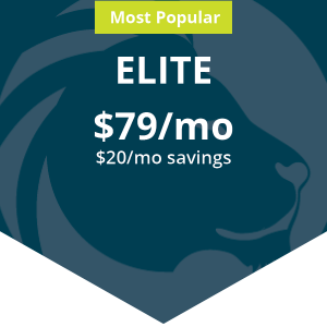 liondesk elite