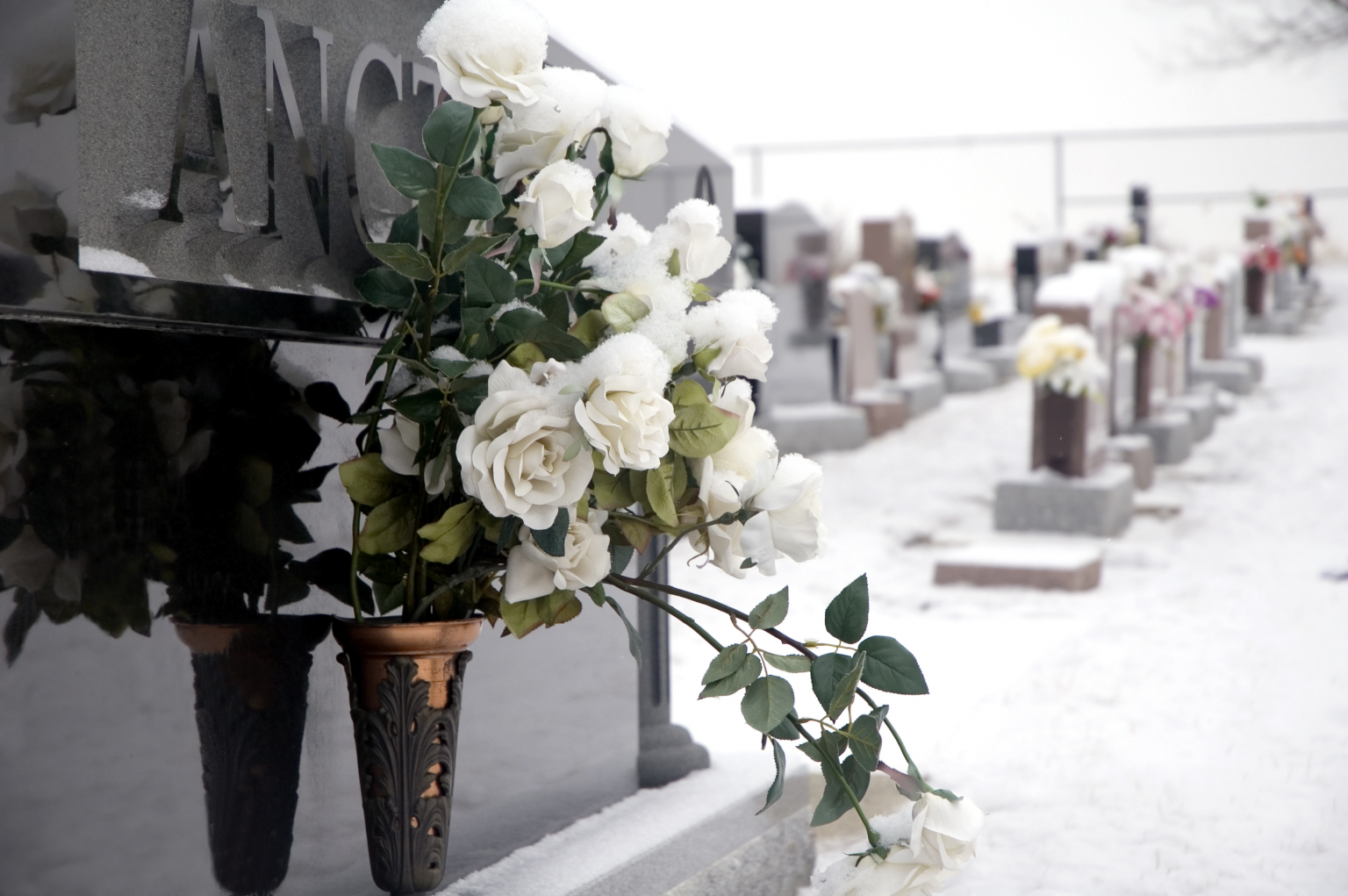 cemetery and flowers