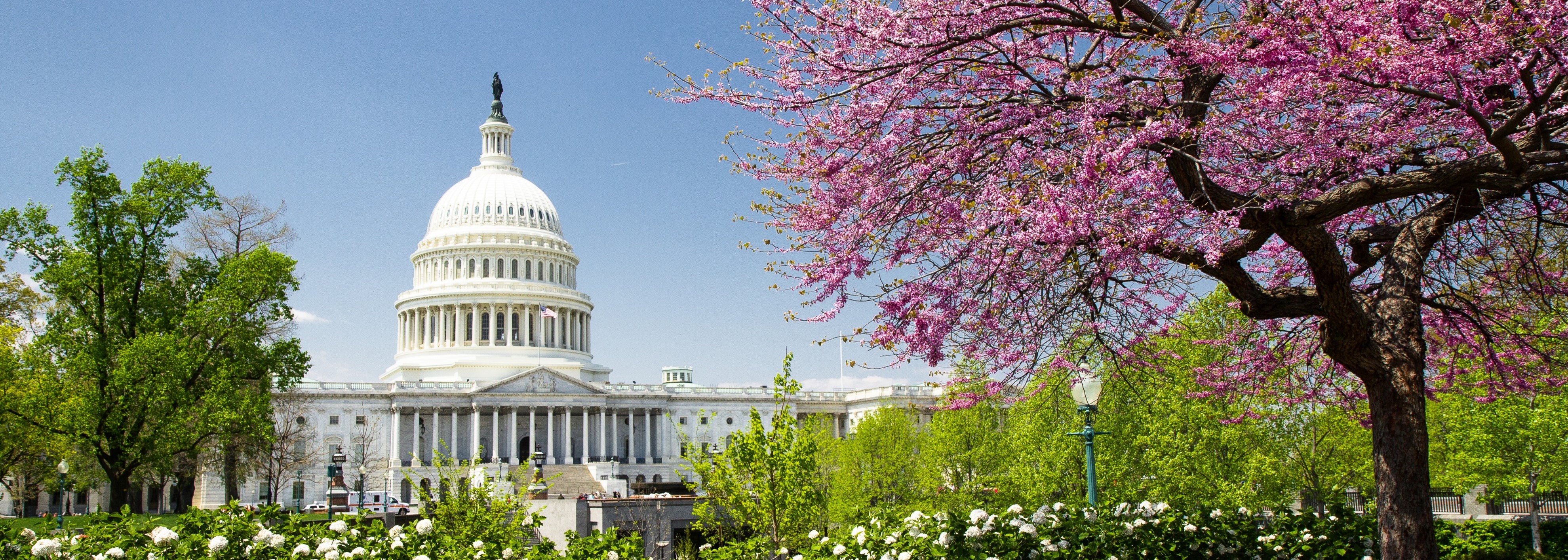 U.S. Capitol in Spring