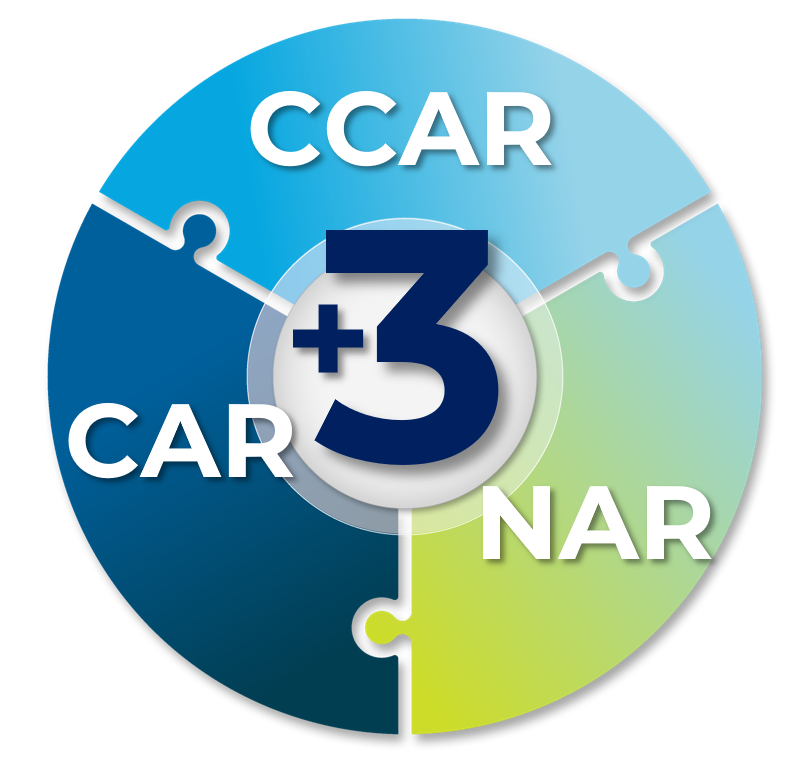 CCAR + CAR + NAR 3-way puzzle image